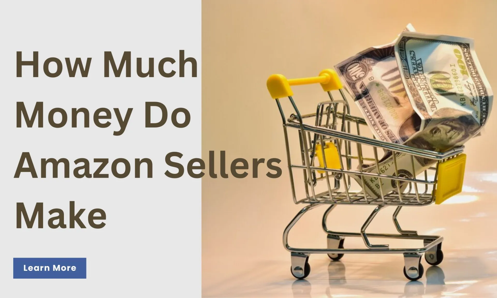 How-Much-Money-Do-Amazon-Sellers-Make